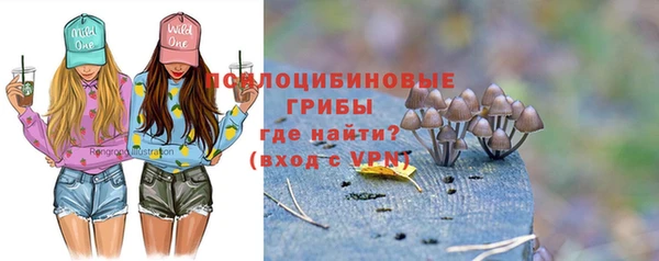 эйфоретик Баксан