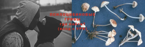 a pvp Белоозёрский