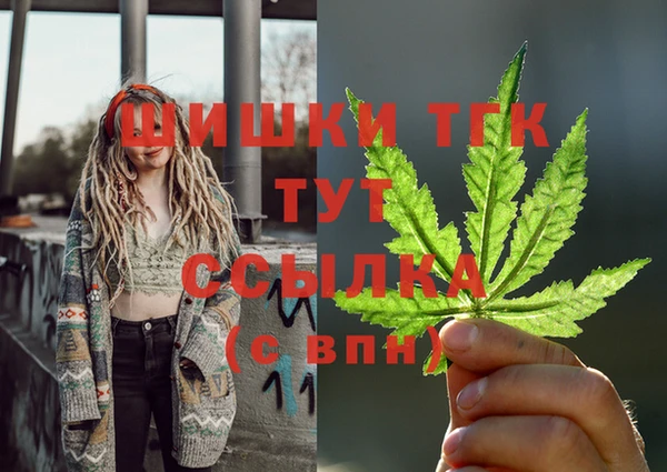 дживик Балахна